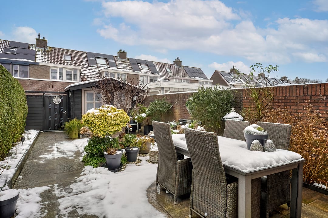 Foto 2 van Schorpioen 8