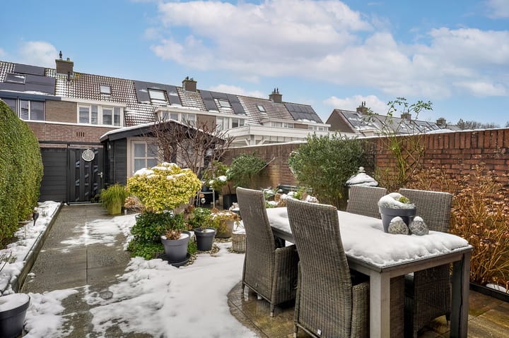 Foto 2 van Schorpioen 8