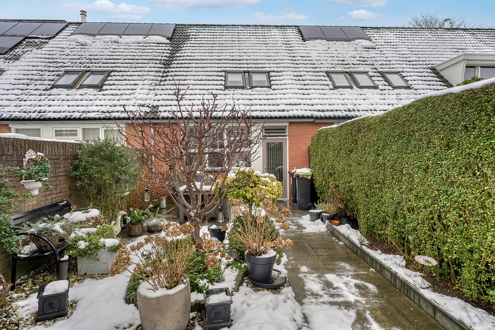 Foto 3 van Schorpioen 8