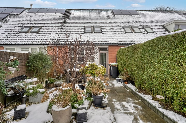 Foto 3 van Schorpioen 8