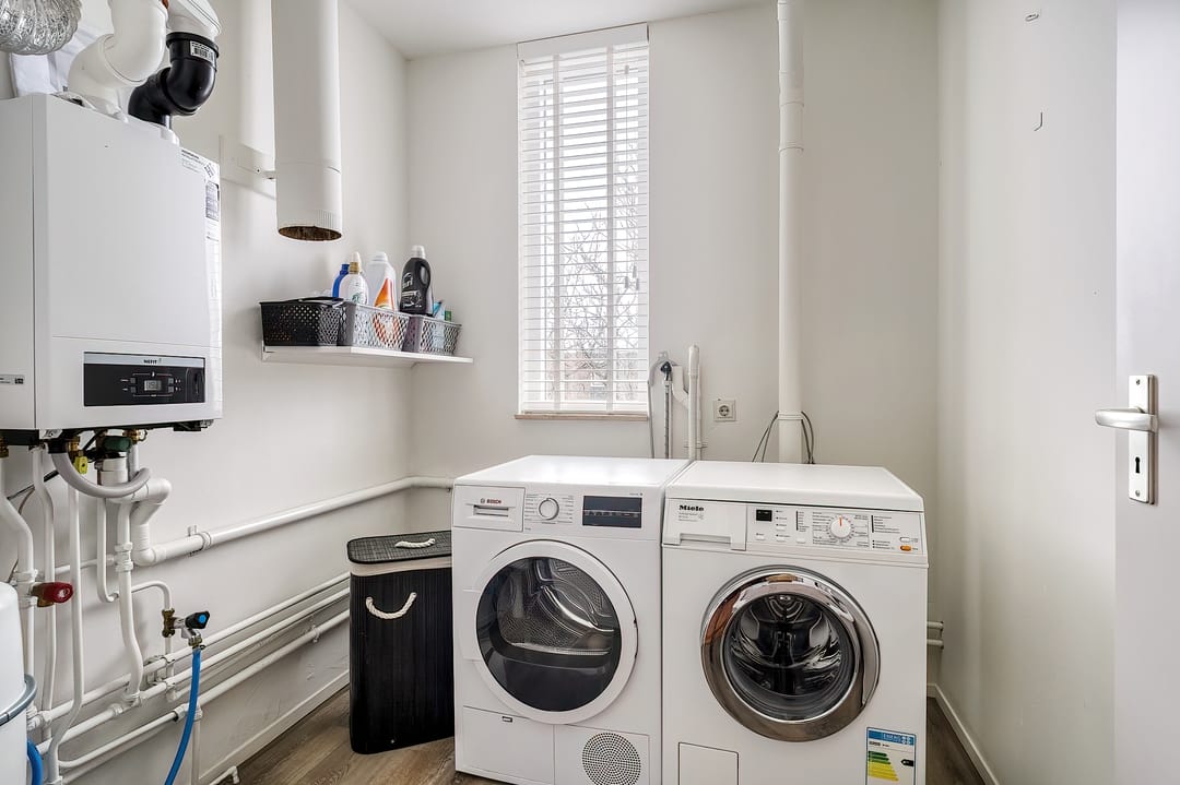 Foto 32 van Schorpioen 8