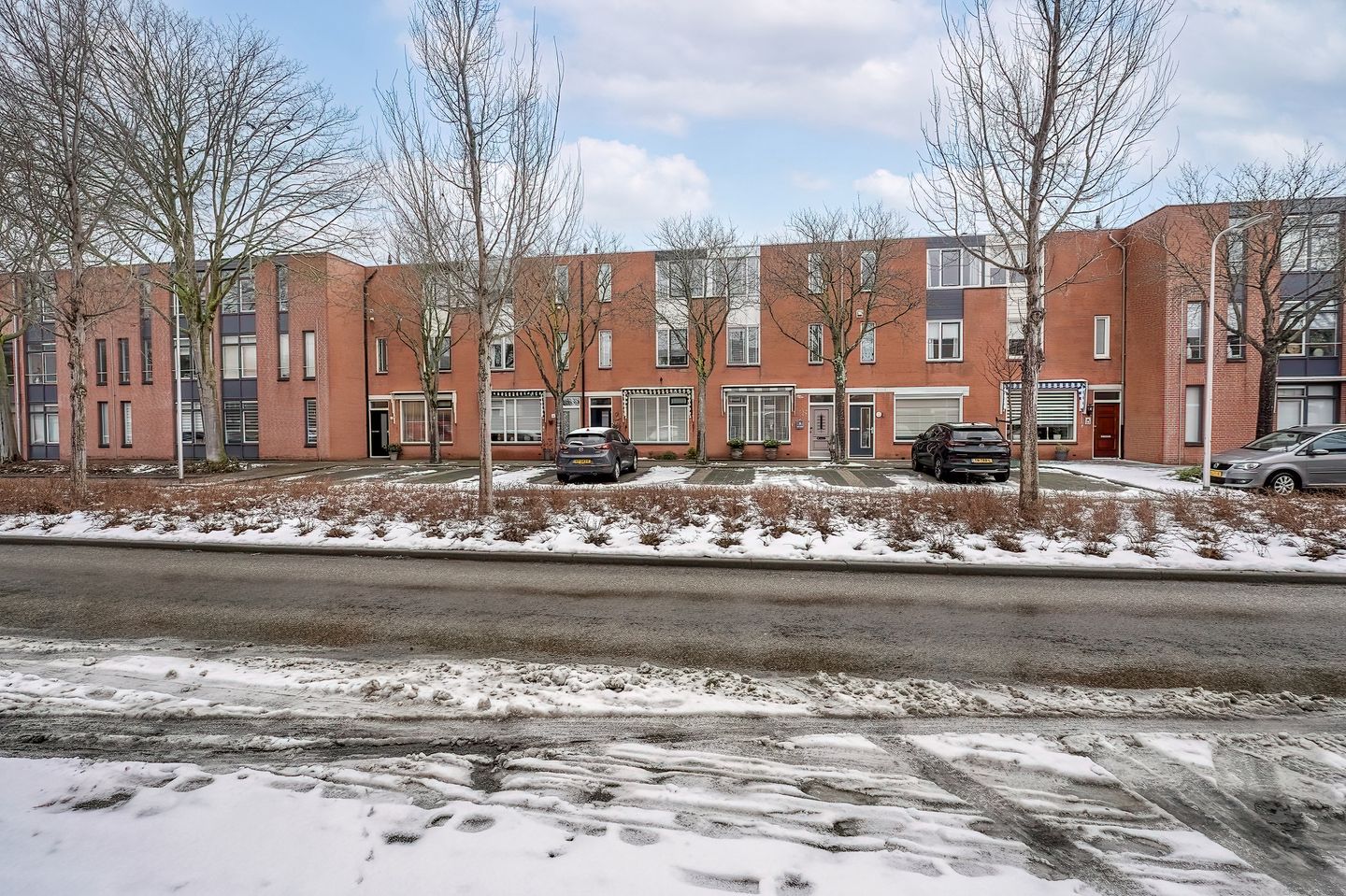 Foto 34 van Schorpioen 8