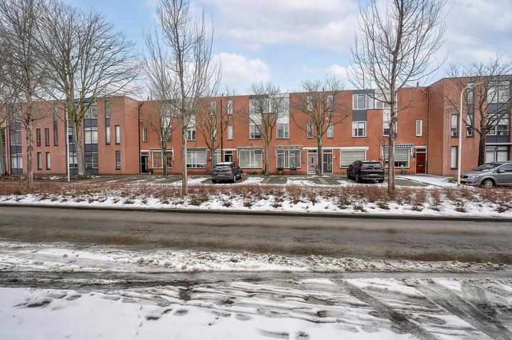 Foto 34 van Schorpioen 8