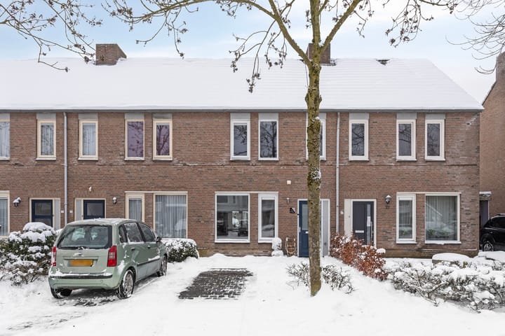 Photo 2 of Boterbloem 35