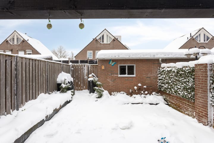 Foto 29 van Boterbloem 35