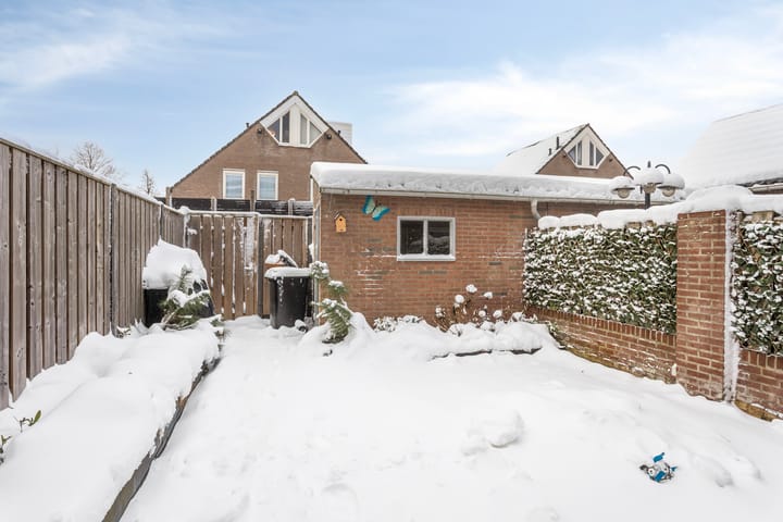 Foto 30 van Boterbloem 35