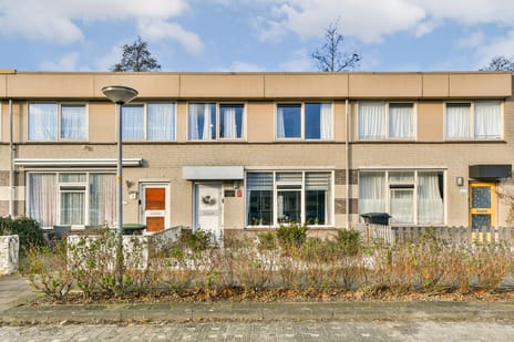 undefined main image