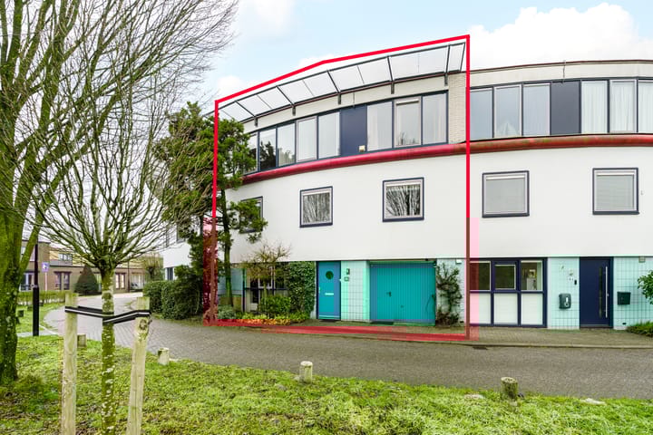 Gangboord 88 main image