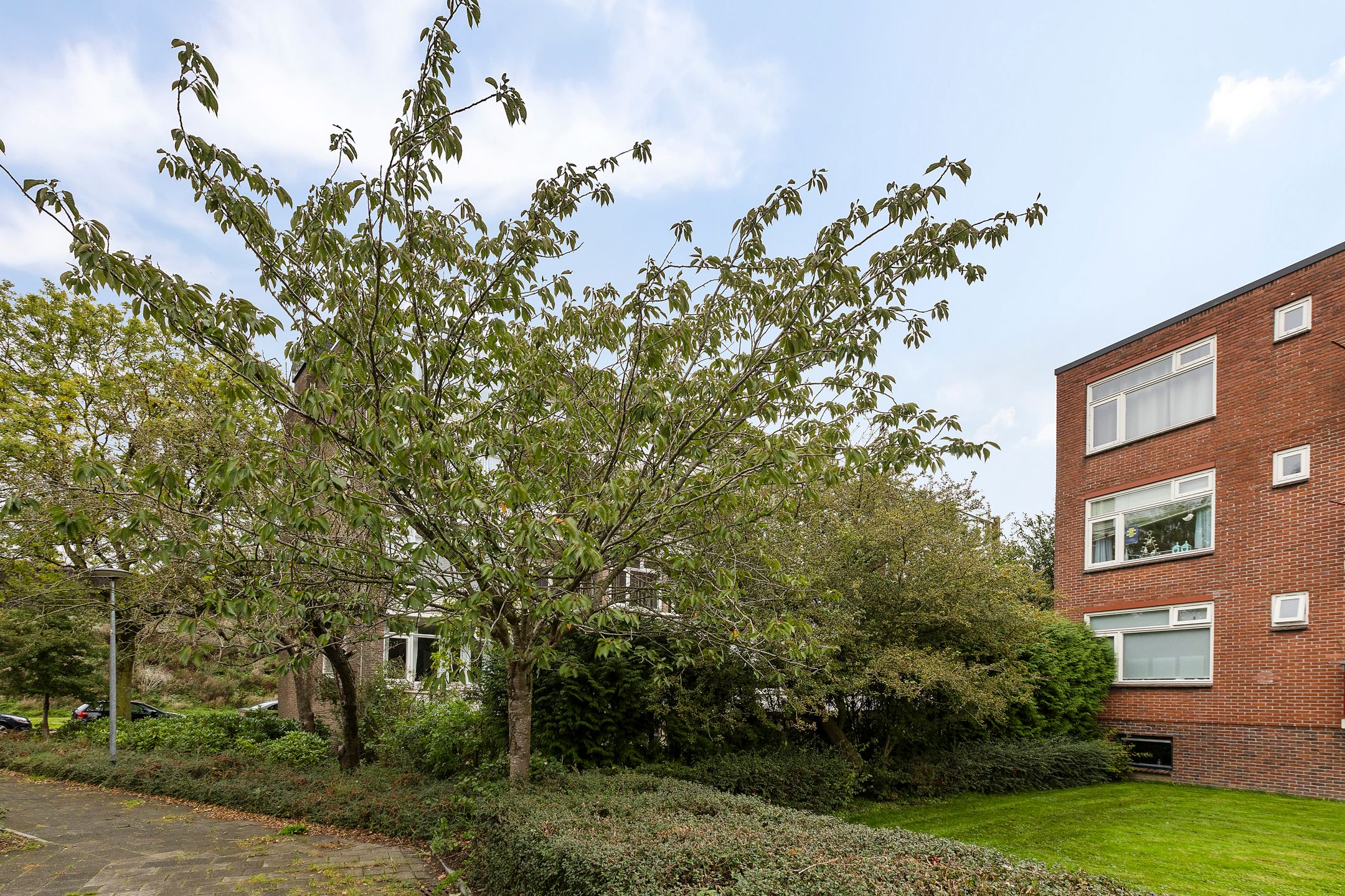 Foto 30 van Laan van de Vrede 31