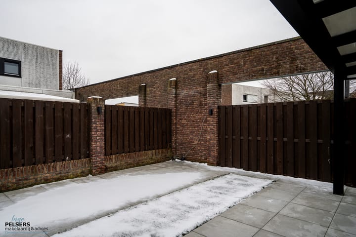 Foto 24 van Snavelbies 23