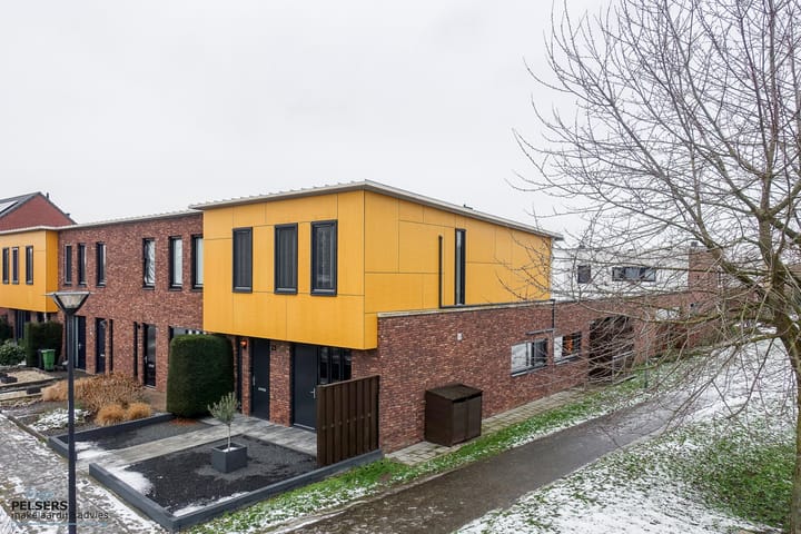 Foto 40 van Snavelbies 23