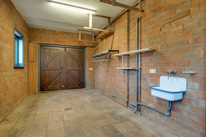 Foto 24 van Korenbloem 2