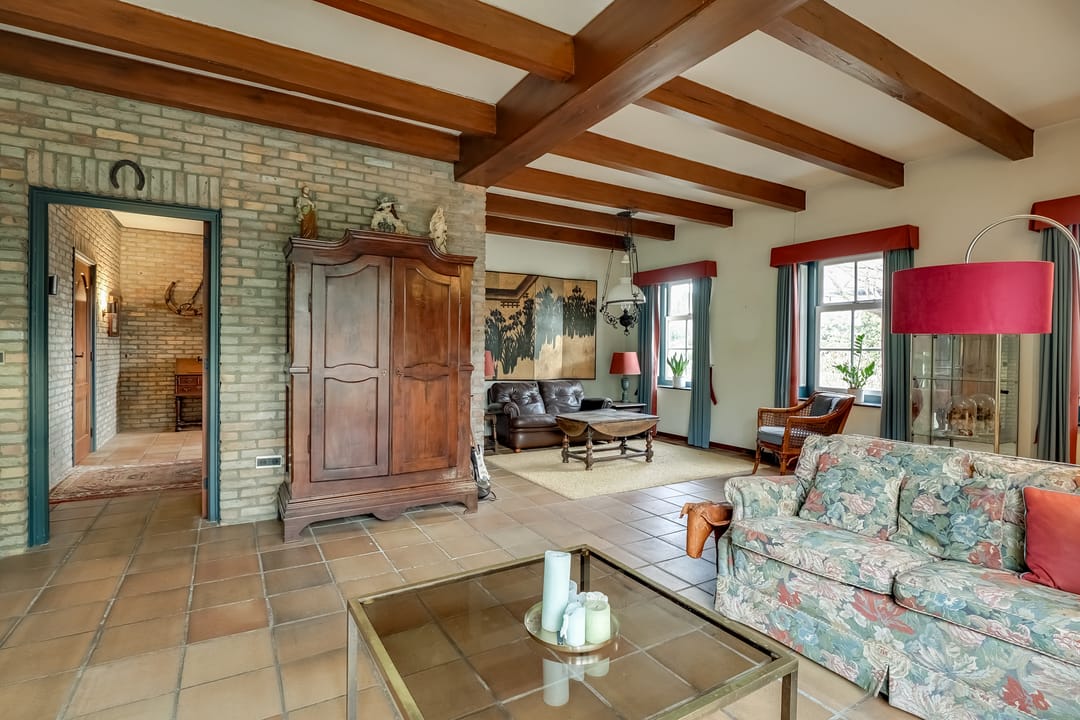 Foto 13 van Korenbloem 2