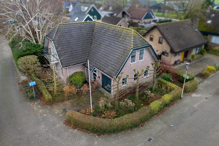 Foto 2 van Korenbloem 2