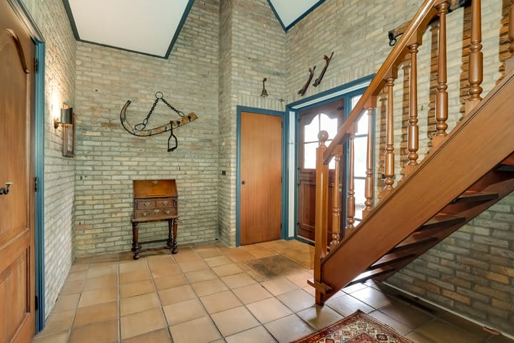 Foto 5 van Korenbloem 2