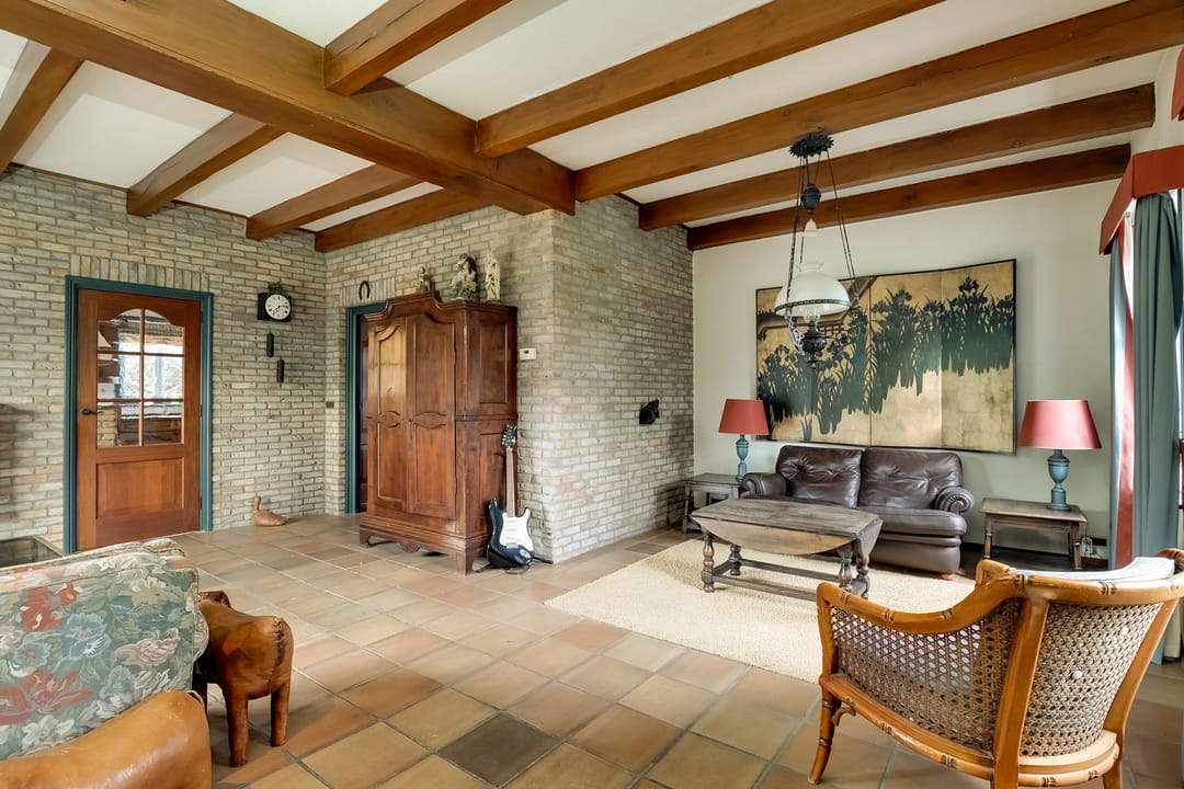 Foto 11 van Korenbloem 2