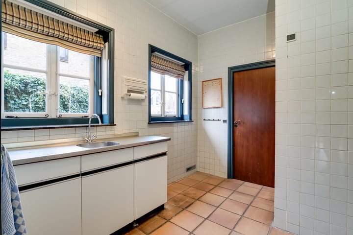 Foto 22 van Korenbloem 2