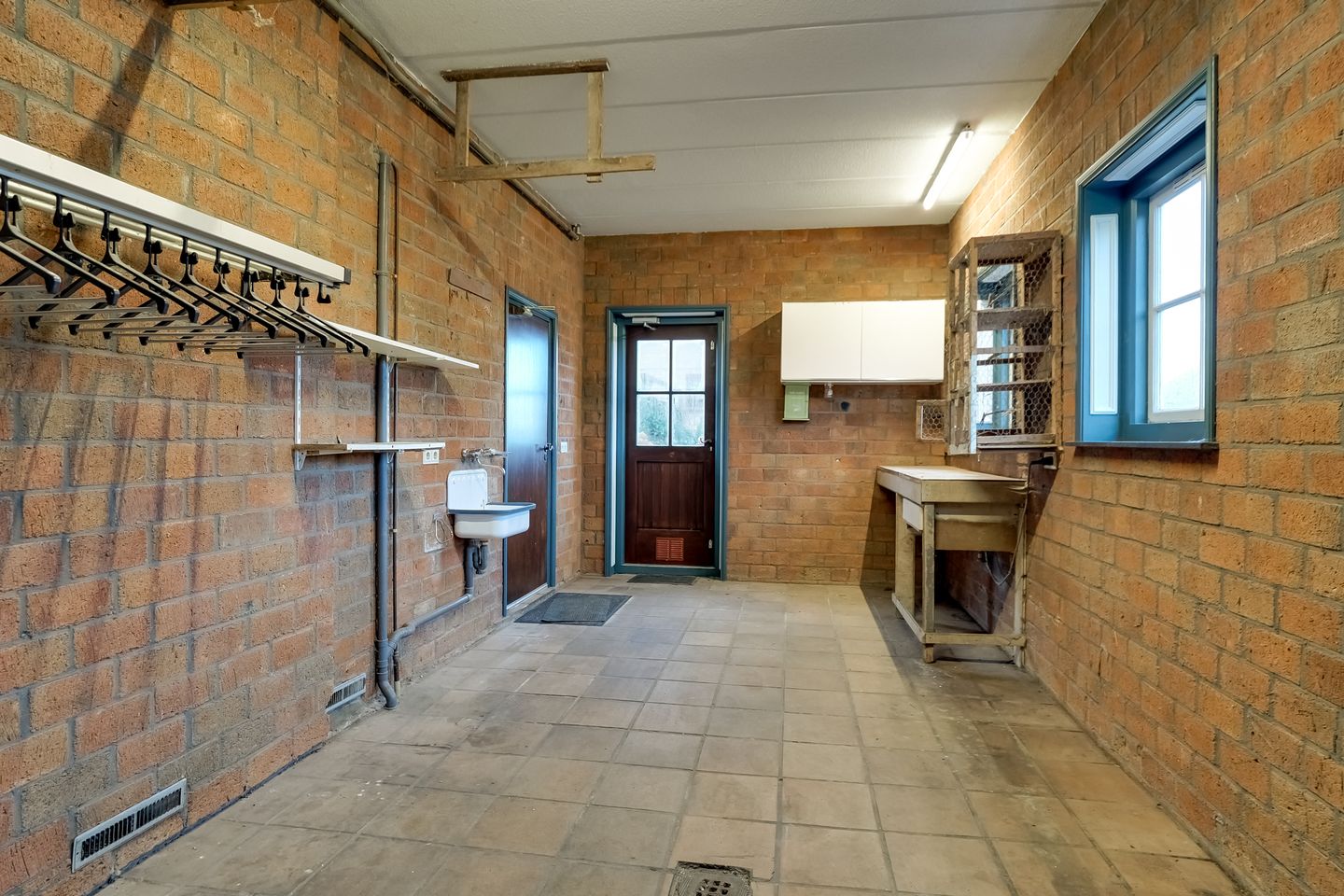 Foto 25 van Korenbloem 2