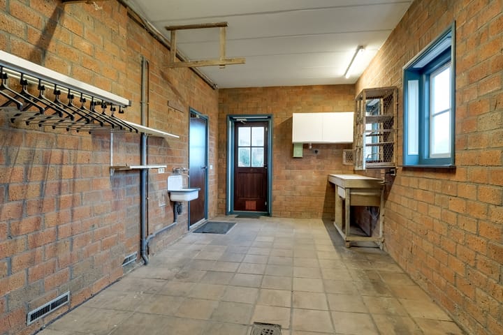 Foto 25 van Korenbloem 2