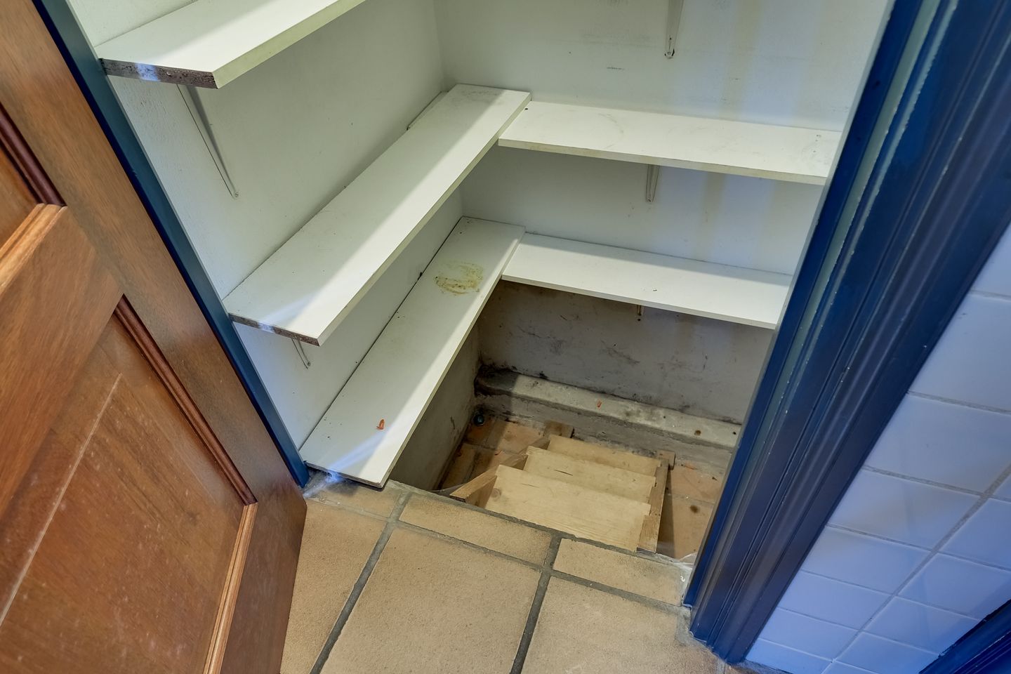 Foto 20 van Korenbloem 2