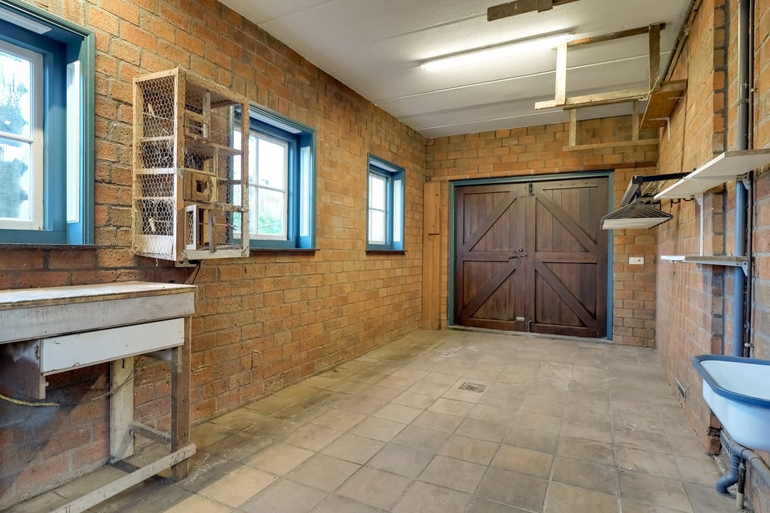 Foto 23 van Korenbloem 2