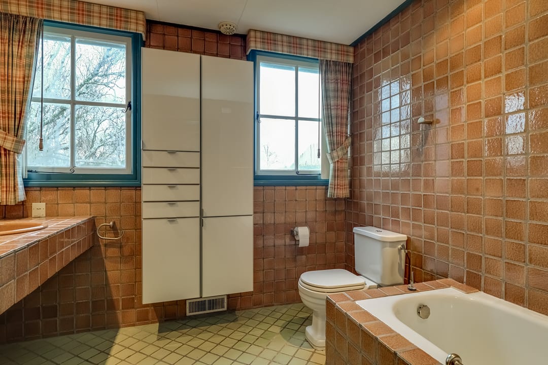 Foto 46 van Korenbloem 2