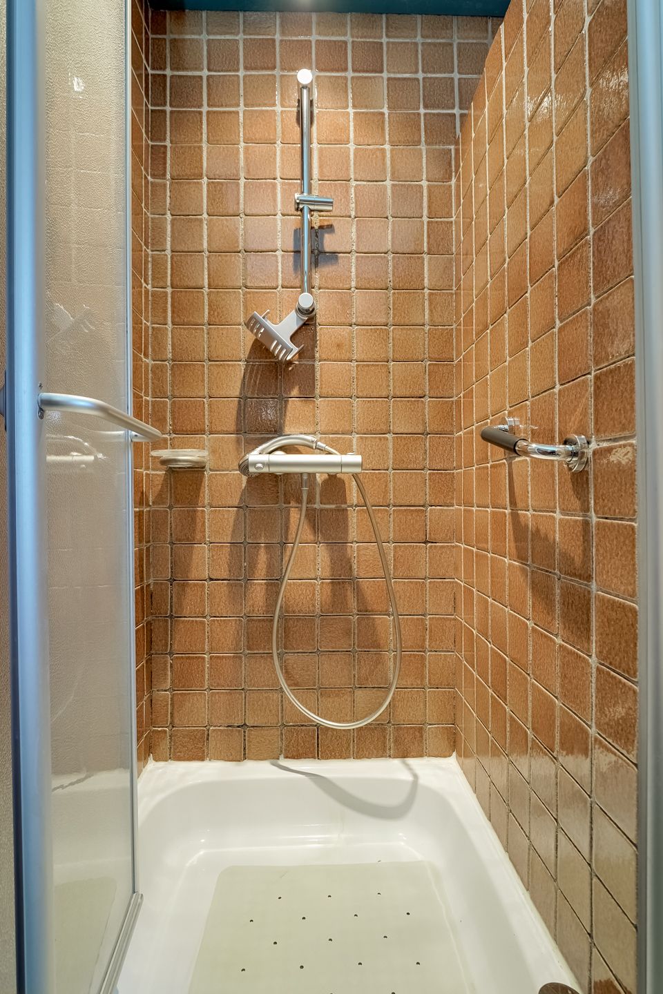 Foto 48 van Korenbloem 2