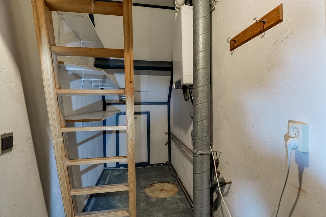 Foto 52 van Korenbloem 2