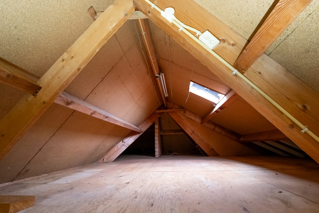 Foto 53 van Korenbloem 2