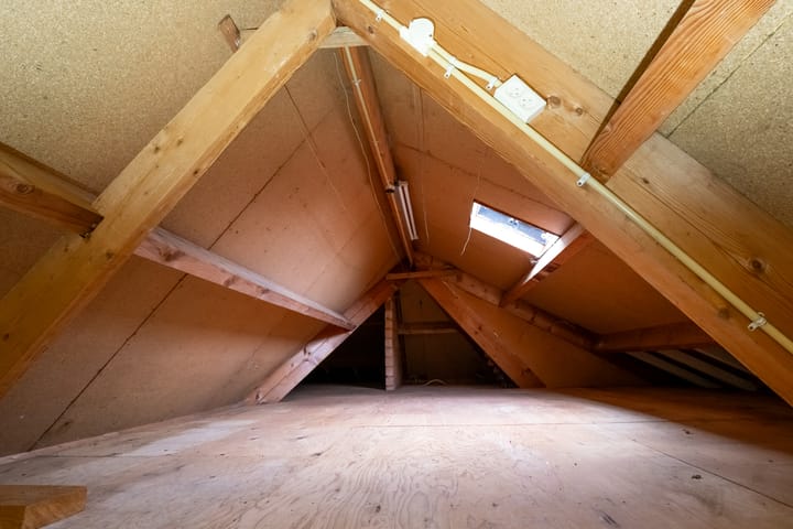 Foto 53 van Korenbloem 2