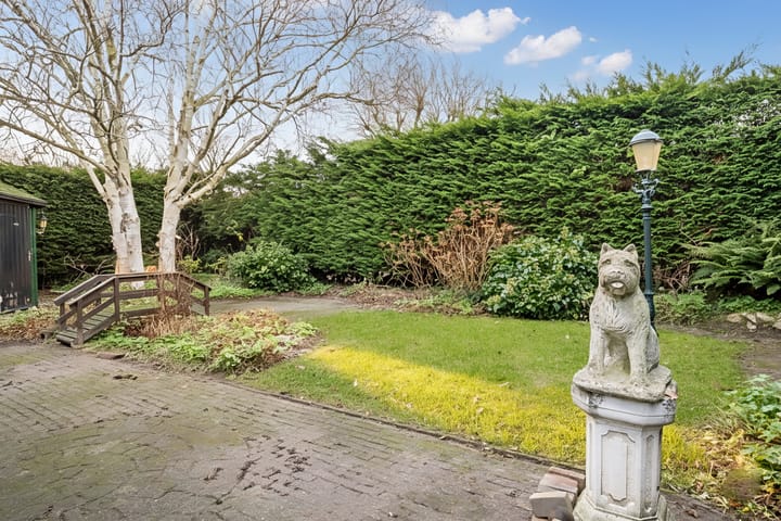 Foto 57 van Korenbloem 2