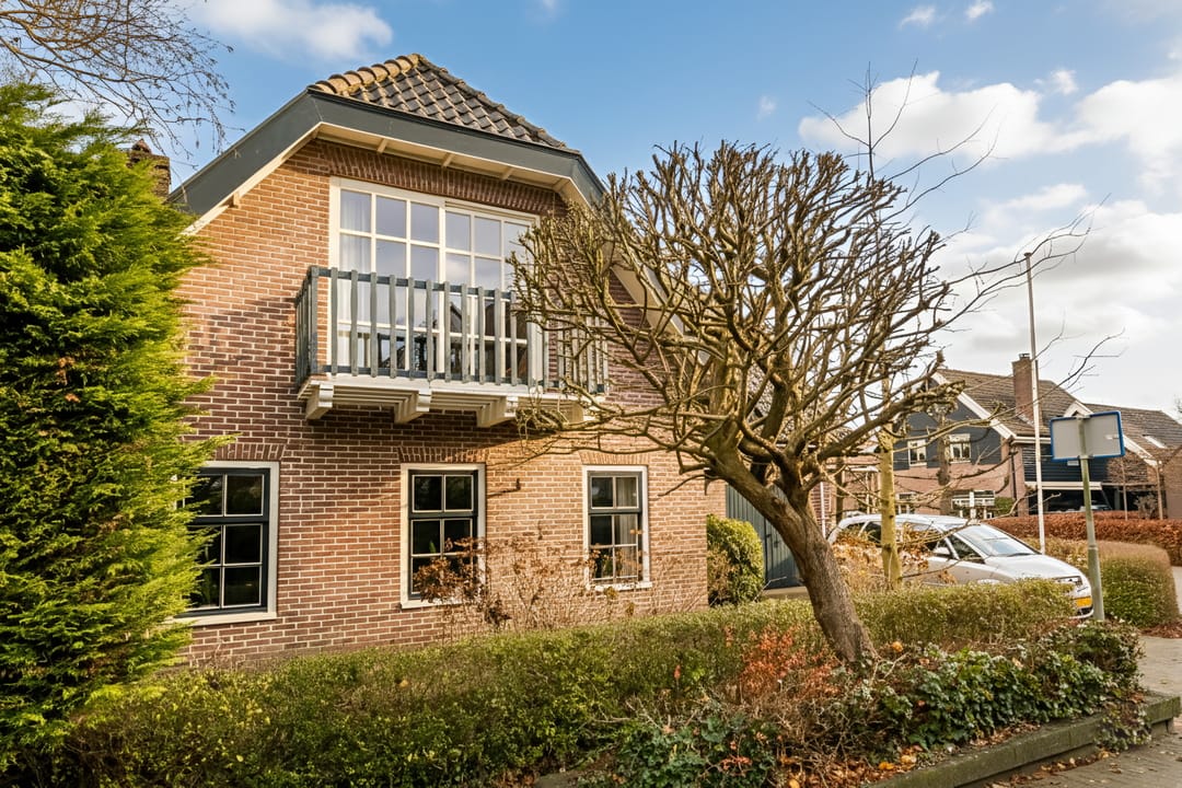 Foto 58 van Korenbloem 2