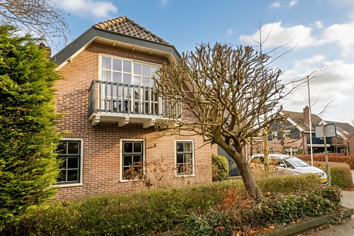 Foto 58 van Korenbloem 2