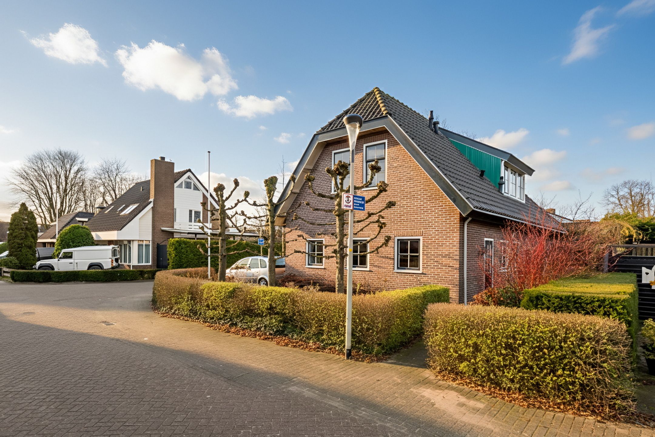 Foto 60 van Korenbloem 2