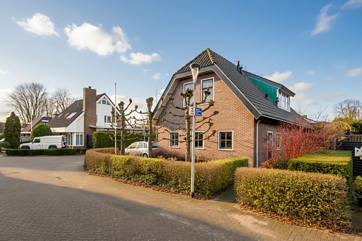 Foto 60 van Korenbloem 2