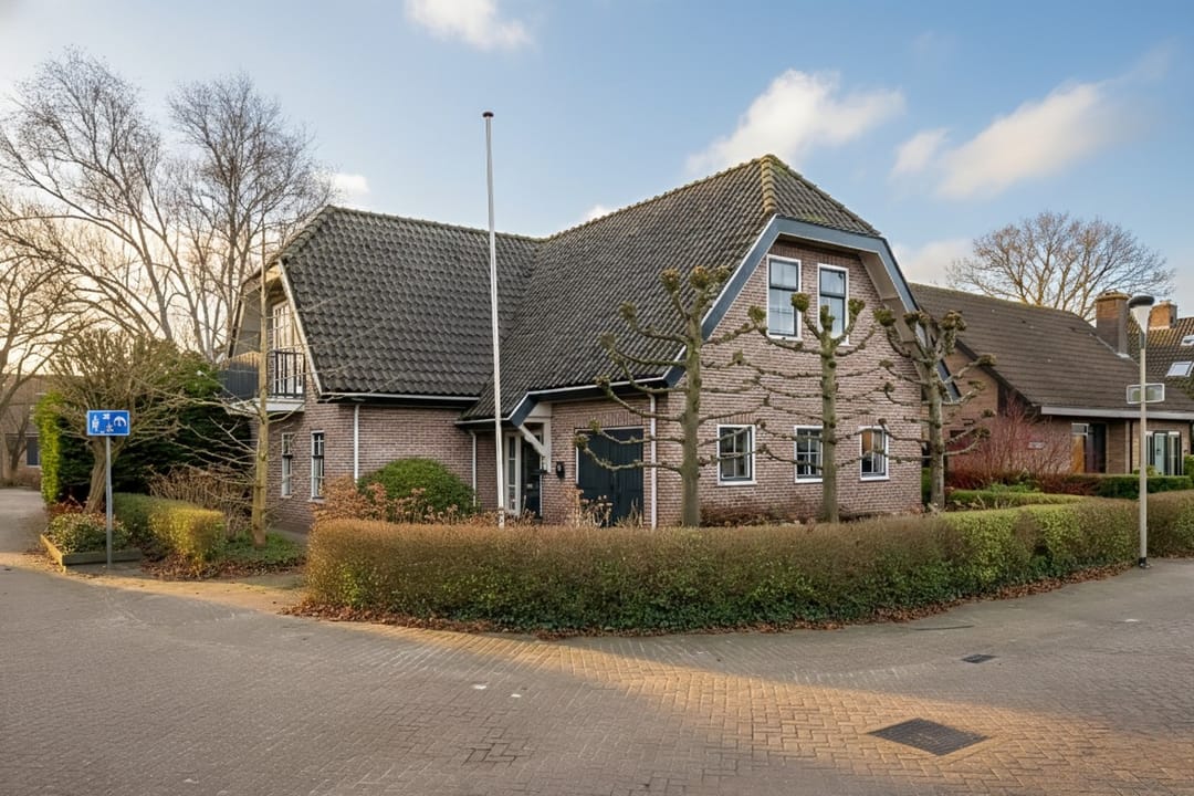 Foto 62 van Korenbloem 2