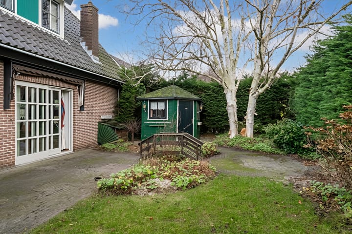 Foto 56 van Korenbloem 2