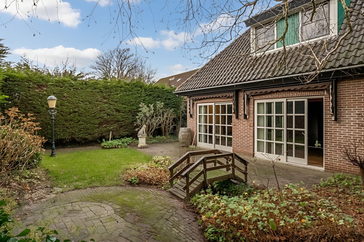 Foto 55 van Korenbloem 2