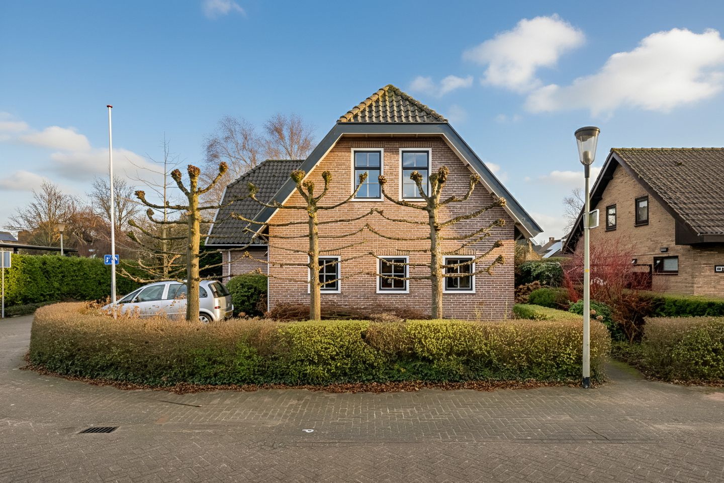 Foto 59 van Korenbloem 2