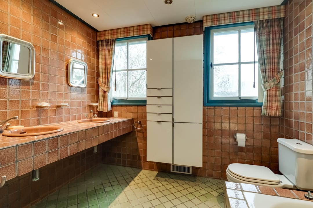 Foto 47 van Korenbloem 2