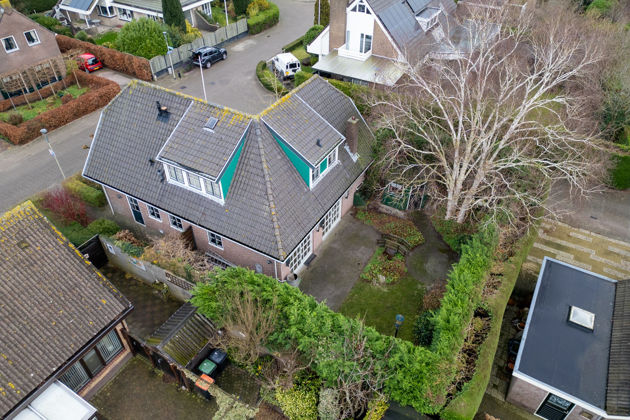 Foto 54 van Korenbloem 2