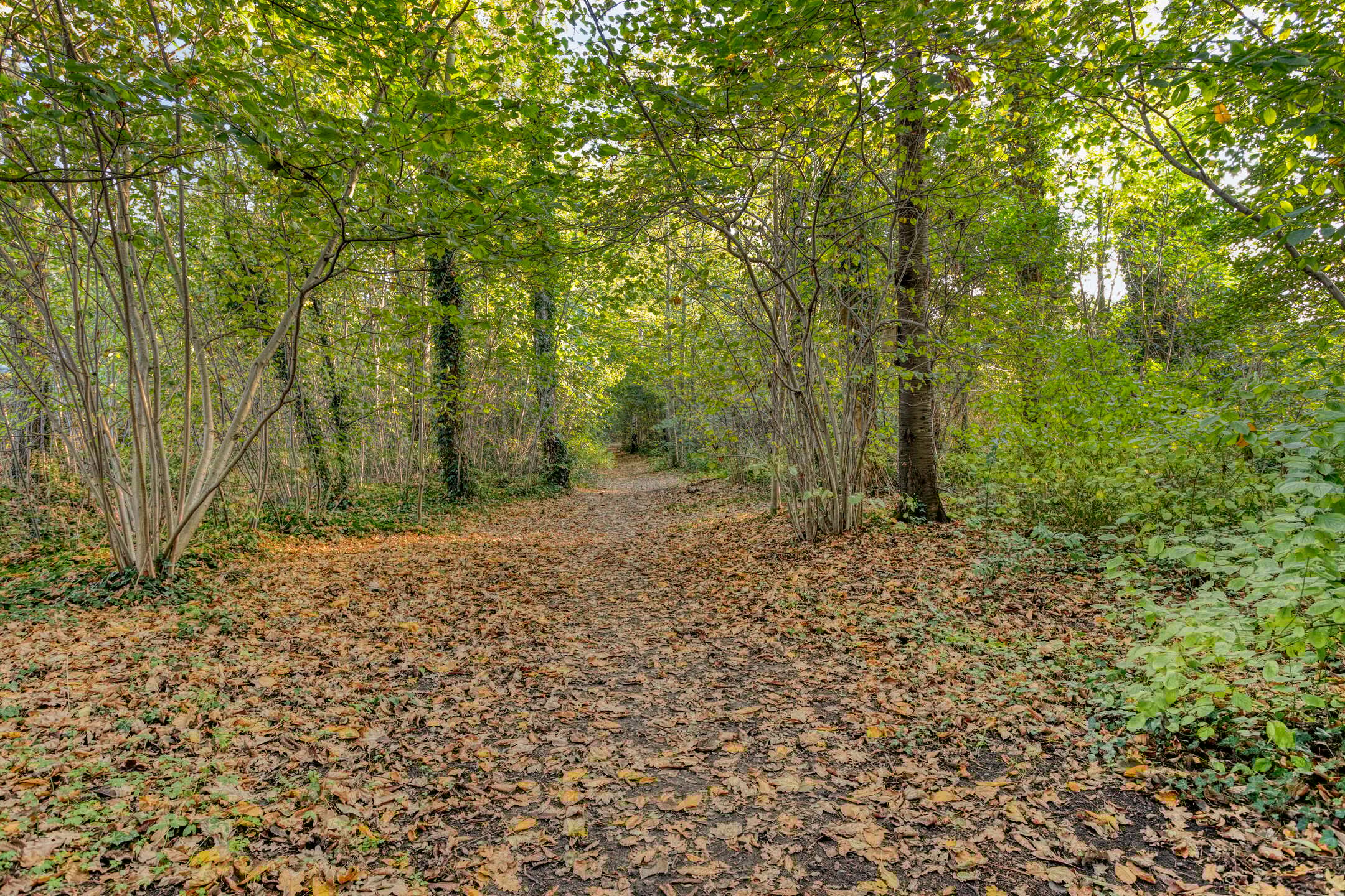 Foto 45 van Patrijsstraat 1