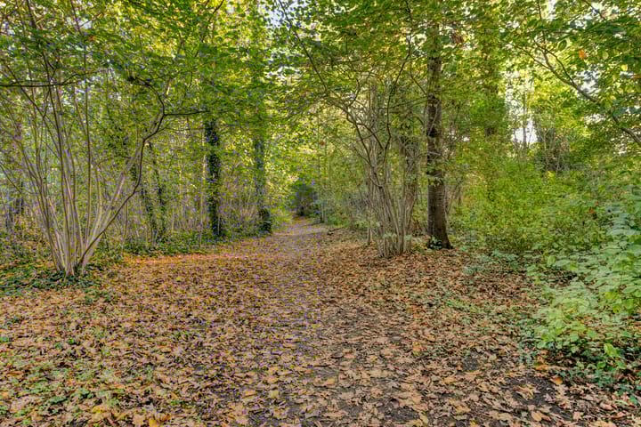 Foto 45 van Patrijsstraat 1