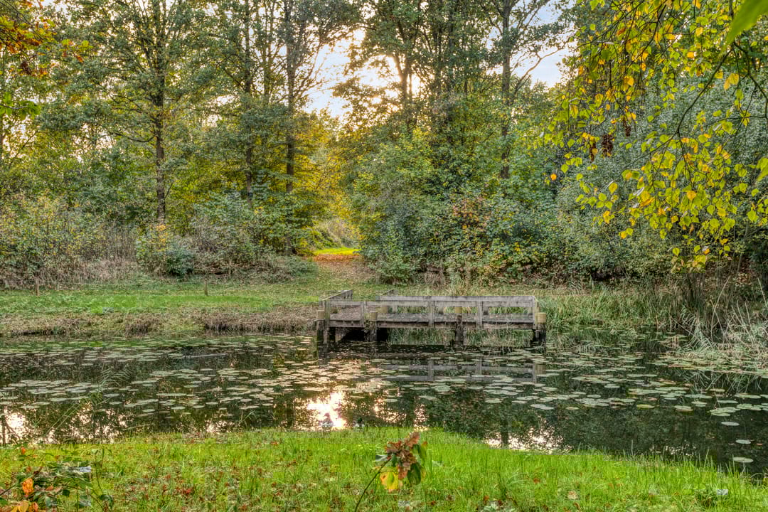 Foto 47 van Patrijsstraat 1