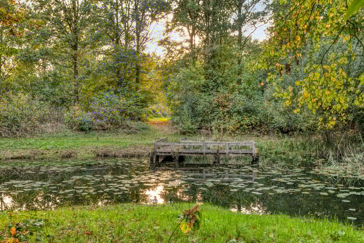 Foto 47 van Patrijsstraat 1