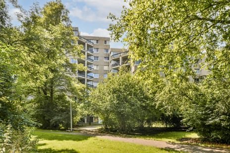 Groenhoven thumbnail