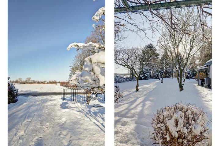 Foto 11 van Bosschenhoofdseweg 8