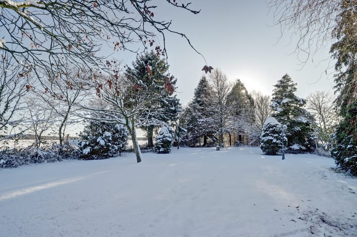 Foto 52 van Bosschenhoofdseweg 8