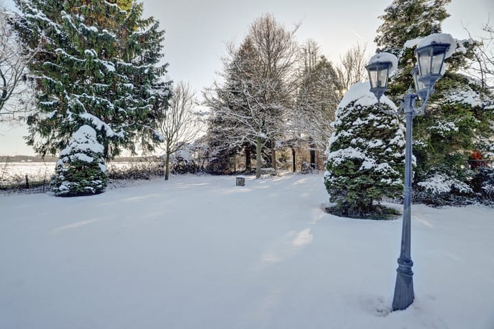 Foto 53 van Bosschenhoofdseweg 8