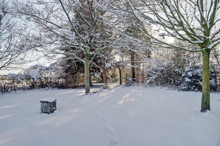 Foto 54 van Bosschenhoofdseweg 8